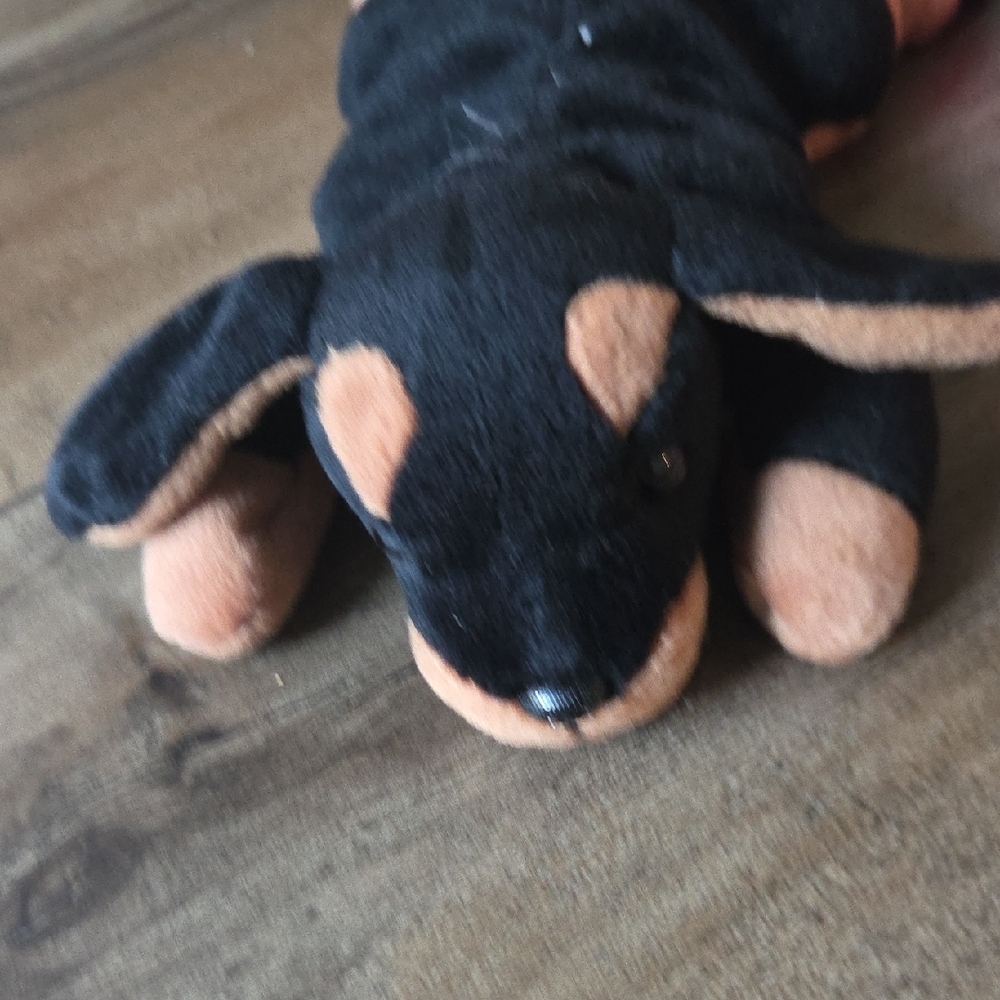 Beanie Babies Collection - Picture 3 of 9